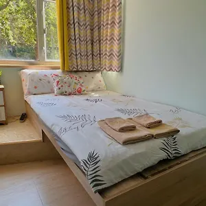 旅馆 Amu Dreamhouse 阿木旅舍